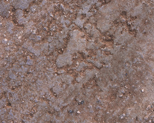 Lumpy Dry Dirt Texture