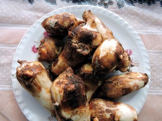 Fresh Taro Root for a new dish