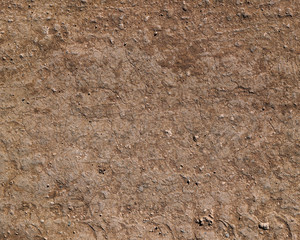 Dry Dirt Road Texture