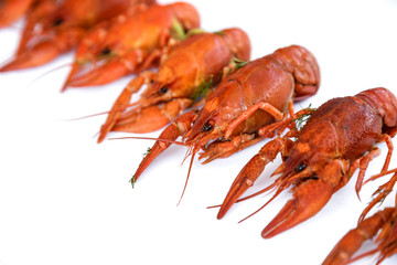 Several boiled crawfish isolated on white. top view. Flat lay