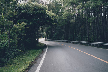 Mountain roads and trees in the rainy season