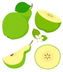 Set of isolated green pear in cartoon style with flowering. Vector illustration on white background.