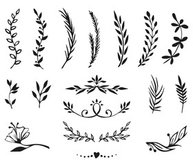 Flower Ornament Dividers. Hand drawn decoration, floral ornamental divider,