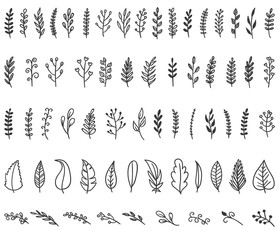 Floral hand drawn vintage set. Vector flowers and leaves collection. Sketch art illustration.