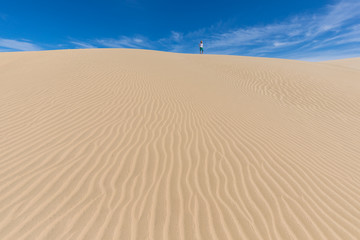 Early Morning Sunlight Over Sand Dunes And Mountains At Mesquite flat dunes, Death Valley National Park, California USA Stovepipe Wells sand dunes, very nice structures in sand Beautiful background