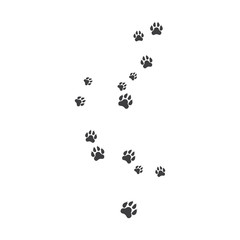 Paw background template illustration design 