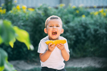 cute boy in the garden or Park outdoors eating boiled corn is very appetizing