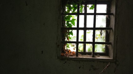 Fototapeta na wymiar Old abandoned window with cobwebs in an old house