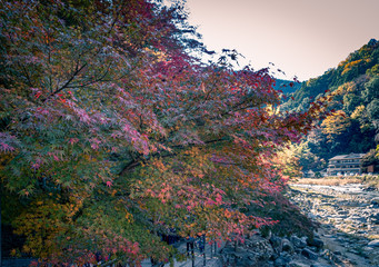 Korankei and Tomoe river in autumn , Aichi Prefecture, Nagoya, Japan