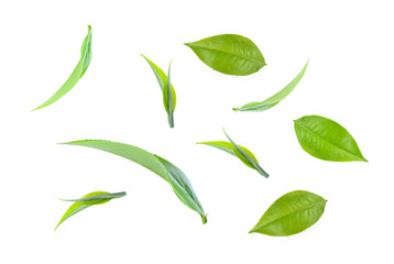 tea leaves on white background