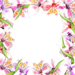 Frame border ornament square. Pink alstroemeria bouquet floral botanical flowers. Wild spring leaf wildflower. Watercolor background illustration. Watercolour drawing fashion aquarelle.