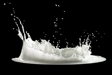 milk splash isolated on black background