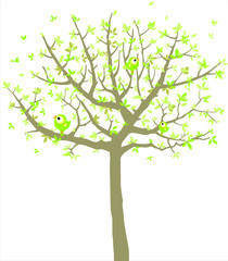 Vector green tree isolated on white.