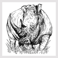 Hand drawn sketch style rhino isolated on white background. Vector illustration. © Ecaterina Sciuchina