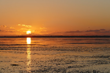 Obraz premium Sunset on the North Sea directly on the beach. Orange sky and low tide.