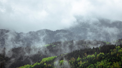 Fototapeta premium fog in the mountains