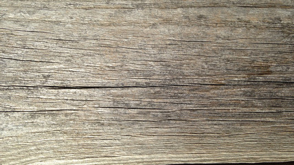 wood background