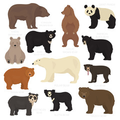 All world bear species in one set. Bears collection. Vector illustration