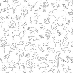 Temperate broadleaf forest and mixed forest biome seamless pattern.Terrestrial ecosystem world map. Simple outline graphic design