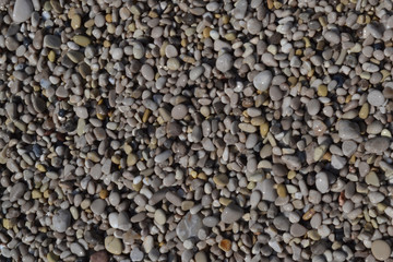 Pebble background on the sunny beach.