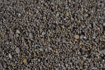 Pebble background on the sunny beach.