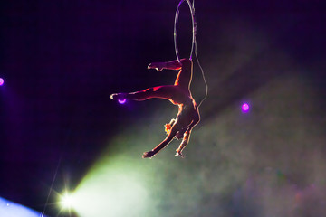 air circus performances in the circus © Andrey