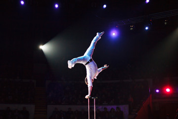 performance of air acrobats in the circus