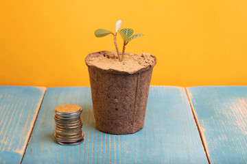 the coins are next to the container for home flowers, the background is yellow