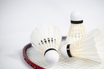 white badminton shuttlecocks lay on white table background