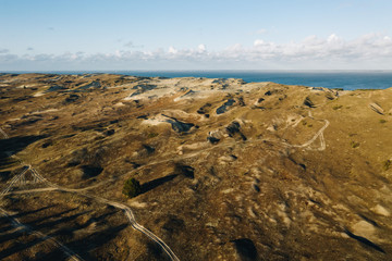 Grey Dunes In Curonian Spit Lithuania