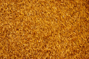 Rice hull, crop, healthy and healthy food