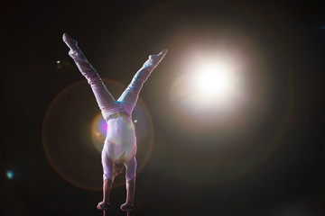 performance of air acrobats in the circus.
