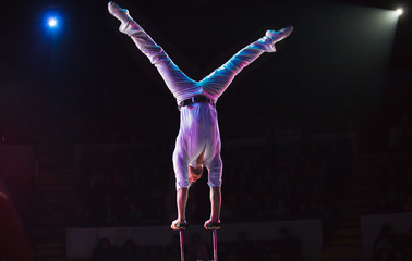 performance of air acrobats in the circus.