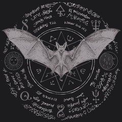 Vector illustration with a bat with open wings. Witchcraft magic, occult attributes, alchemy symbols. Night creature with fangs. Flying vampire on the background of a star and magical inscriptions