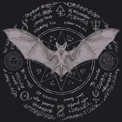 Vector illustration with a bat with open wings. Witchcraft magic, occult attributes, alchemy symbols. Night creature with fangs. Flying vampire on the background of a star and magical inscriptions - obrazy, fototapety, plakaty