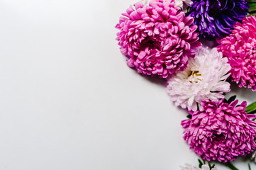 Flowers composition. Violet and purple flowers on white background. Frame made of flowers. Valentines day, mothers day, womens day, spring, summer concept. Flat lay, top view, copy space.