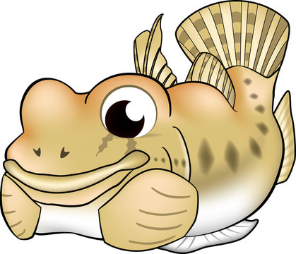 137 件の最適な はぜ 画像 ストック写真 ベクター Adobe Stock