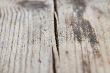 gray wooden board with a crack