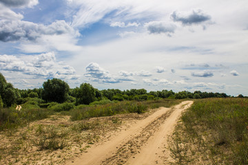 Country road in a field with grass and hills on a clear summer day
