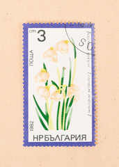 RUSSIA - CIRCA 1982: A stamp printed in Russia shows a flower, circa 1982