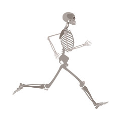 Full-length running human skeleton cartoon flat style