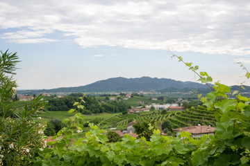 Obraz premium Treviso, Italy, 06/23/2019, View of the Conegliano area famous for the production of prosecco wine, from the Col Vetoraz hill. Here the cultivation is 100% vineyard.