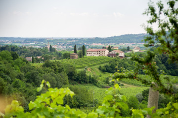 Fototapeta na wymiar Treviso, Italy, 06/23/2019, View of the Conegliano area famous for the production of prosecco wine, from the Col Vetoraz hill. Here the cultivation is 100% vineyard.
