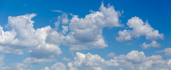Fototapeta na wymiar Panorama of blue sky with white cumulus clouds