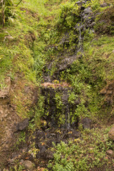 Park with waterfall, Nordeste, Sao Miguel