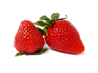 strawberries isolated on white background