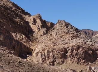 Fototapeta premium Wadi Shahamon in Eilat, sunny day, small bird