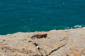 Empty beer bottles left after party on the rocky beach, blue sea background. Social issue of human...