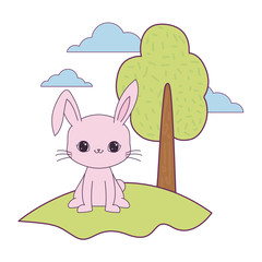 cute rabbit animal in landscape