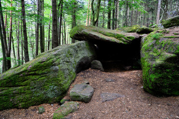 Druids cave. Dolmen in a forest in the Vosges with the largest cover plate in Europe.